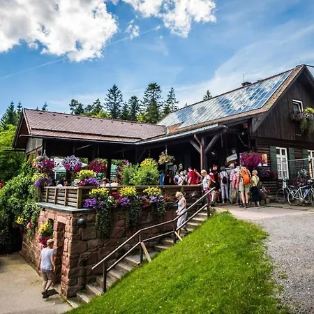 Am Enzufer Mit Wintergarten Im Schwarzwald