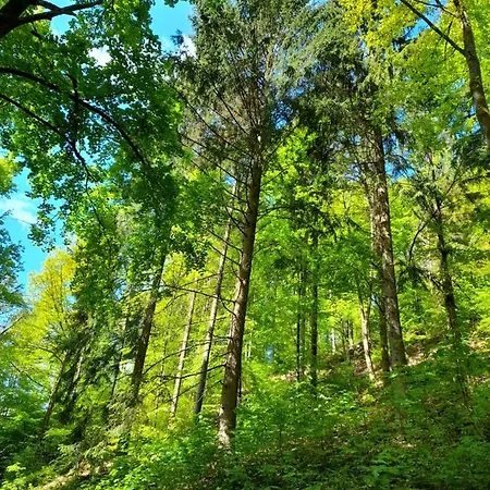Διαμέρισμα Am Enzufer Mit Wintergarten Im Schwarzwald