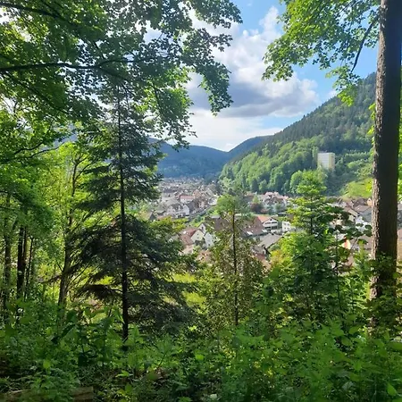 Am Enzufer Mit Wintergarten Im Schwarzwald