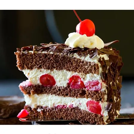 Διαμέρισμα Am Enzufer Mit Wintergarten Im Schwarzwald Bad Wildbad