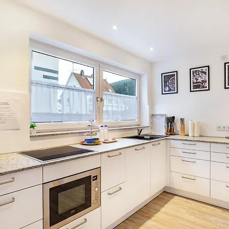 Am Enzufer Mit Wintergarten Im Schwarzwald Διαμέρισμα *